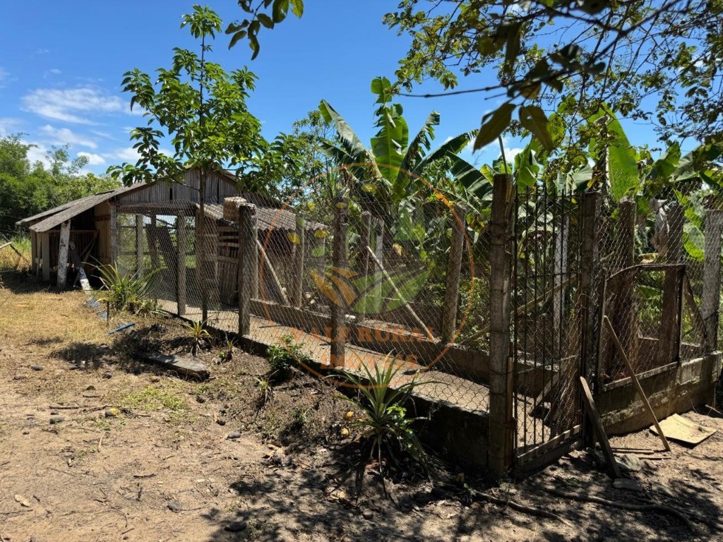 Sítio, 2 quartos, 2 hectares - Foto 35