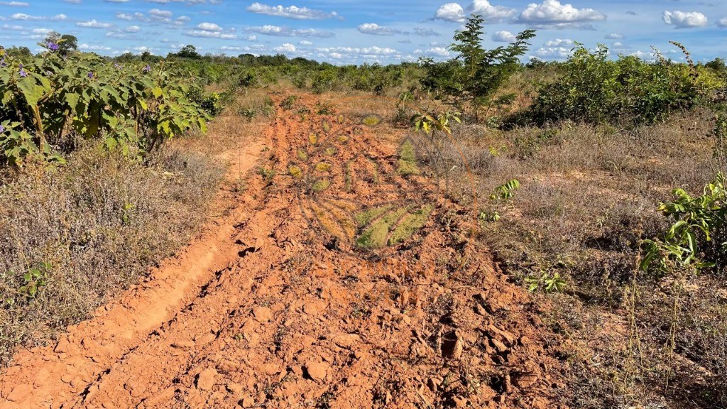 Fazenda, 3 quartos - Foto 1