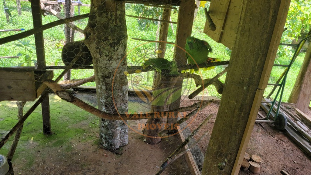 Chácara, 6 quartos - Foto 31
