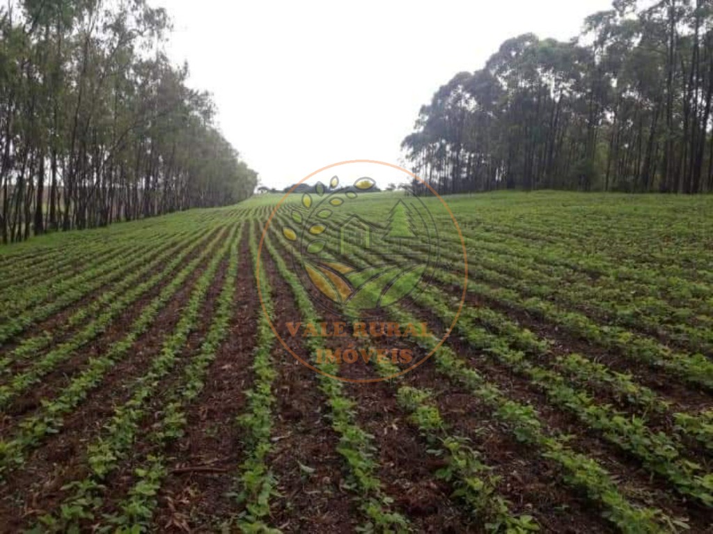 Fazenda, 6 quartos - Foto 14