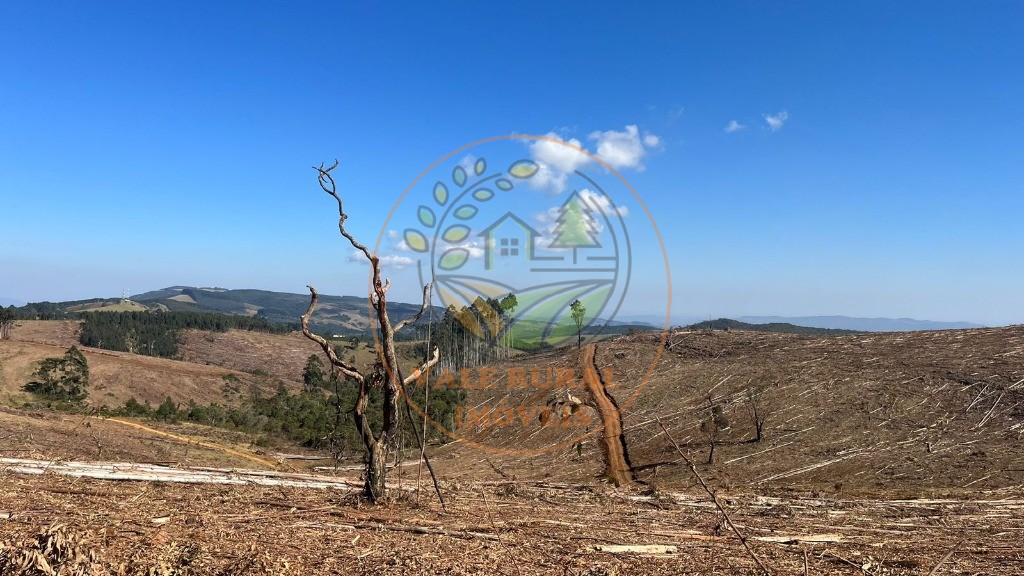 Fazenda - Foto 19