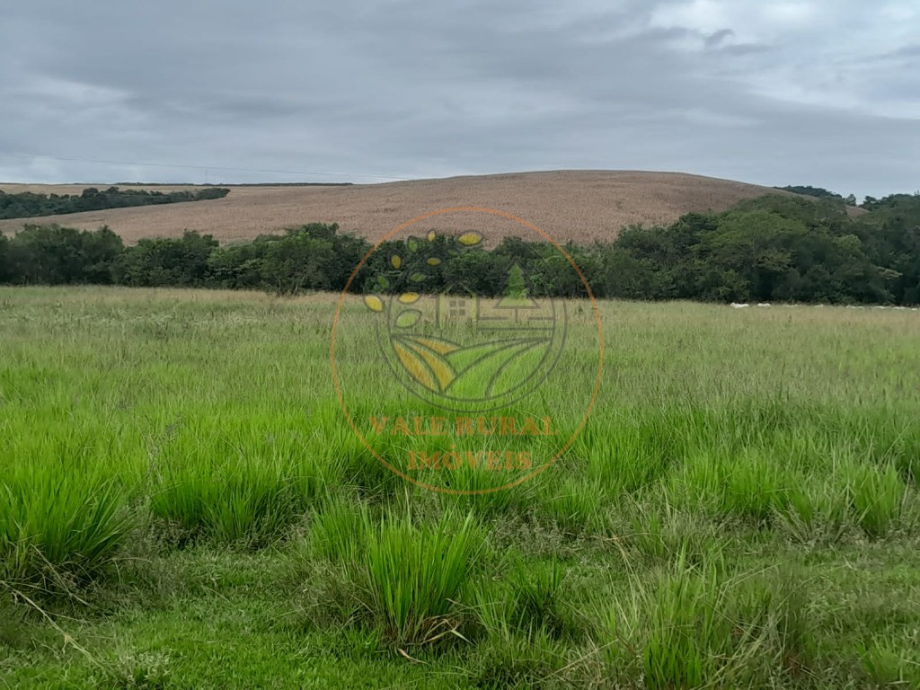 Fazenda, 3 quartos - Foto 28