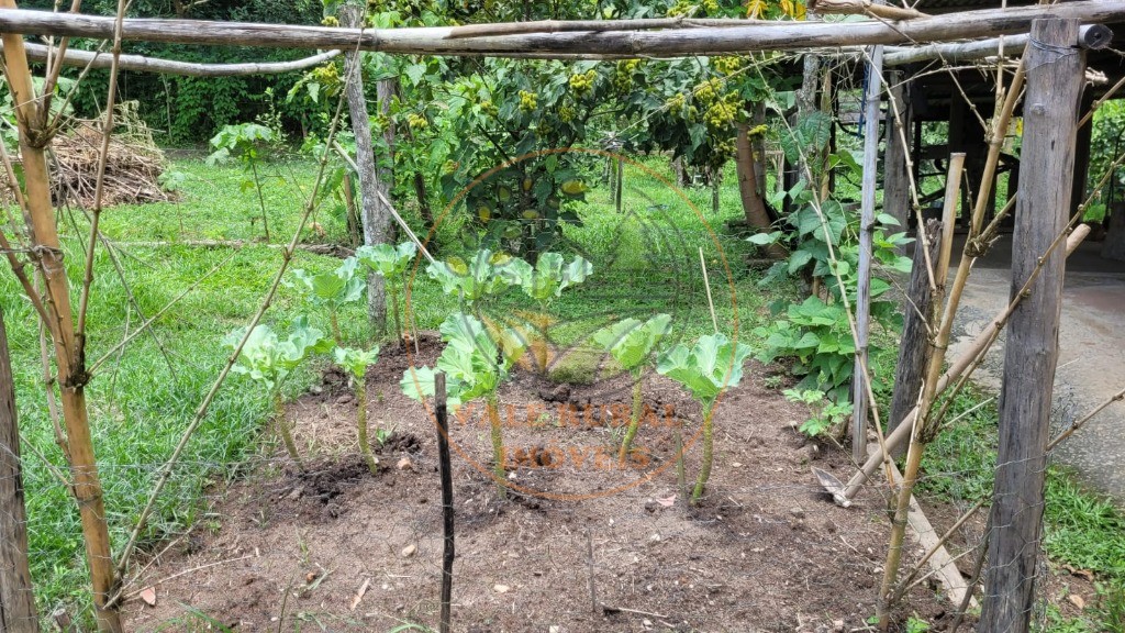 Chácara, 6 quartos - Foto 32