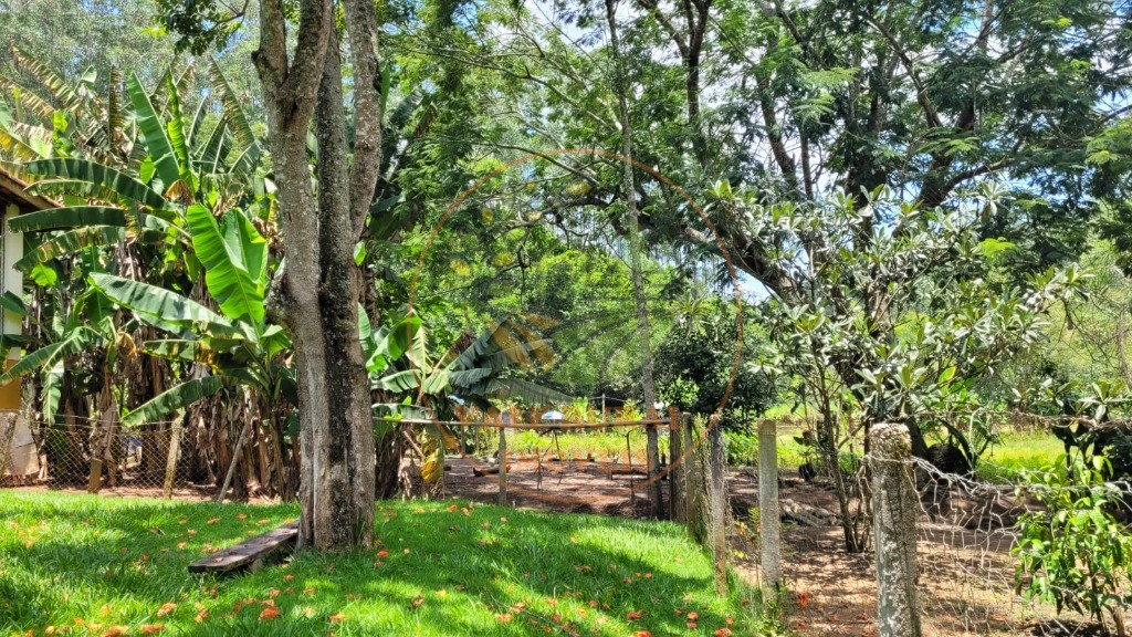 Chácara, 6 quartos - Foto 56