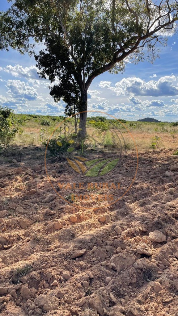 Fazenda, 3 quartos - Foto 8
