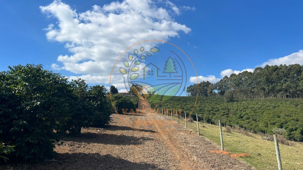 Fazenda - Foto 5