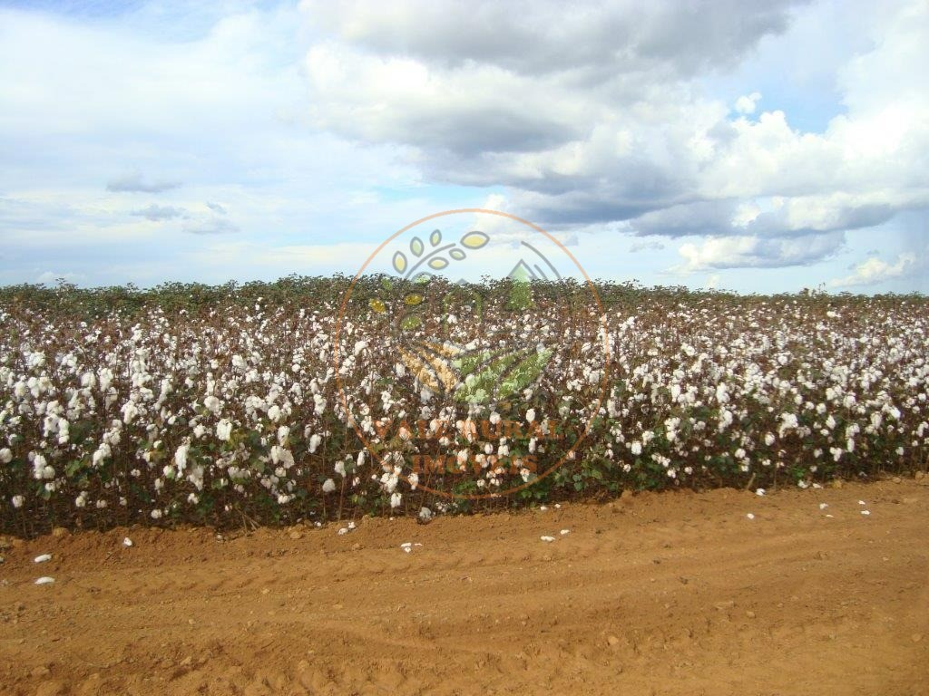 Fazenda, 3 quartos - Foto 1