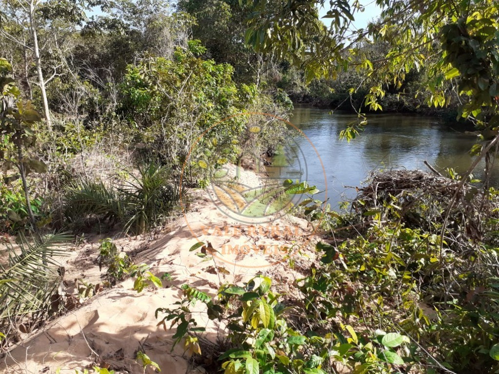 Fazenda - Foto 5