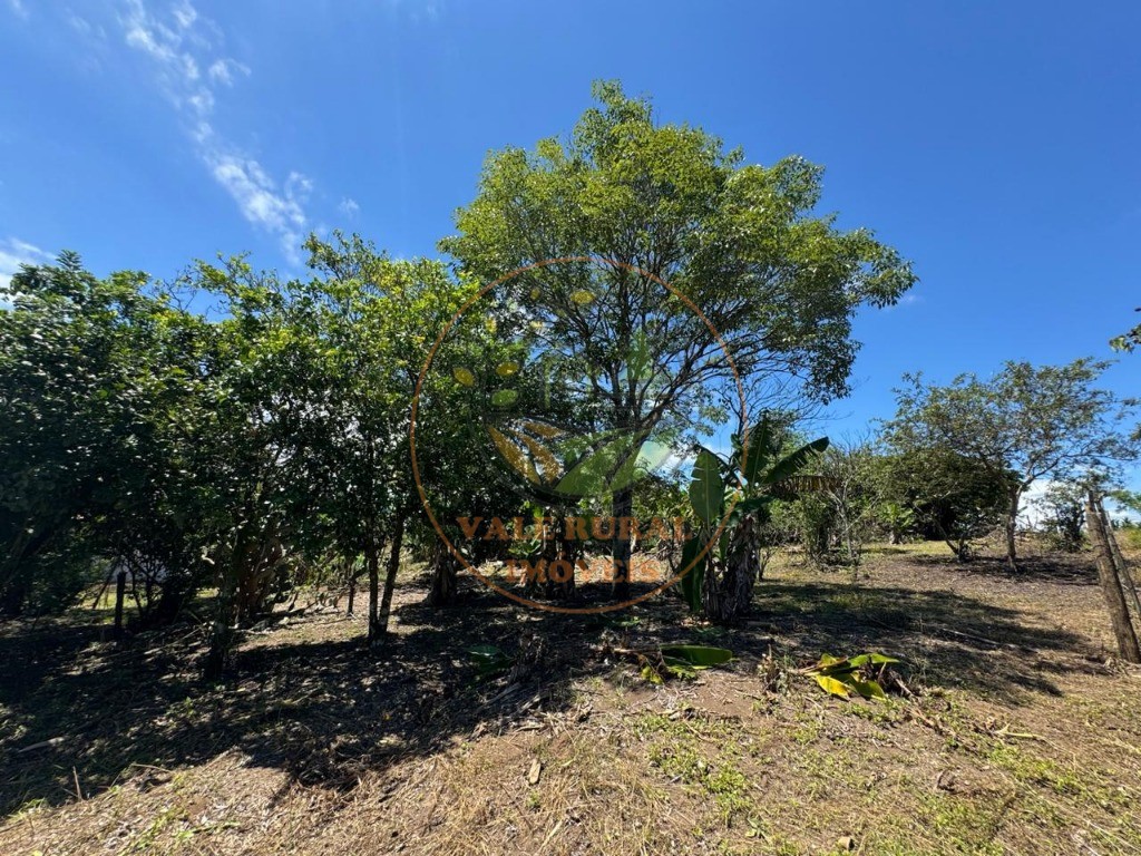 Sítio, 2 quartos, 2 hectares - Foto 43