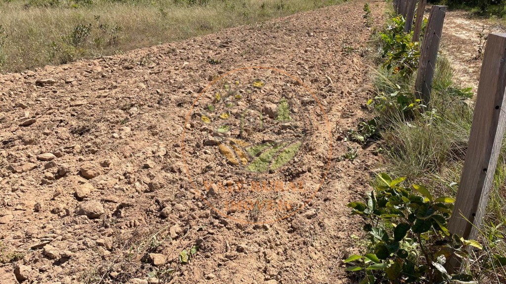 Fazenda, 3 quartos - Foto 6