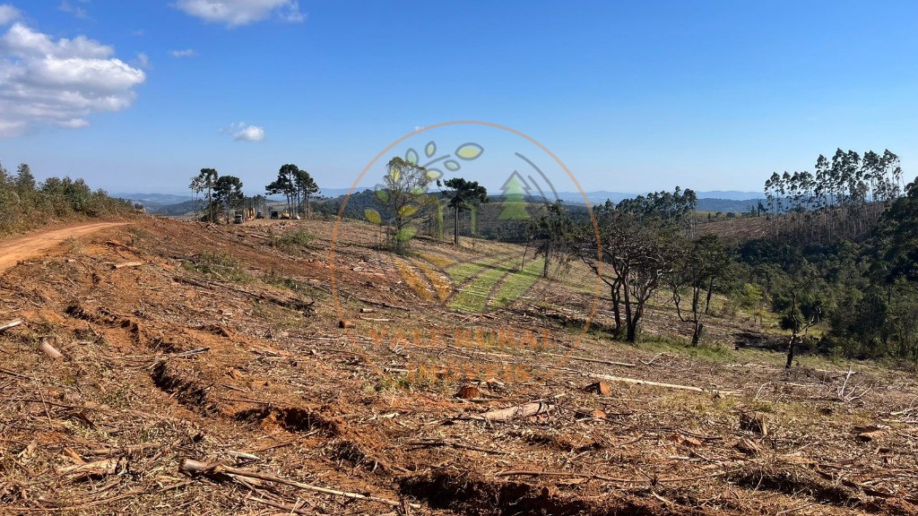 Fazenda - Foto 16