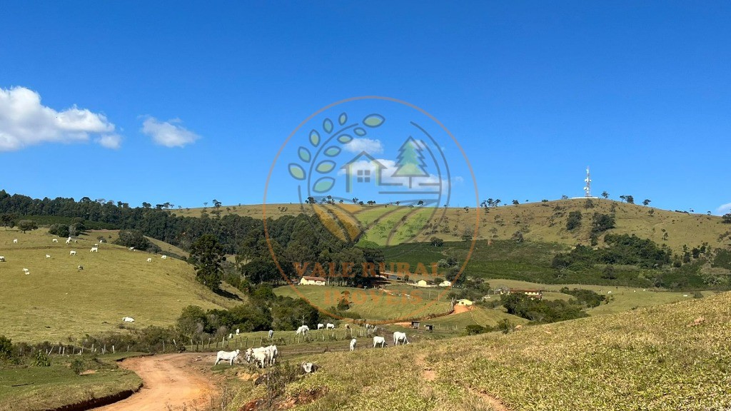 Fazenda - Foto 13