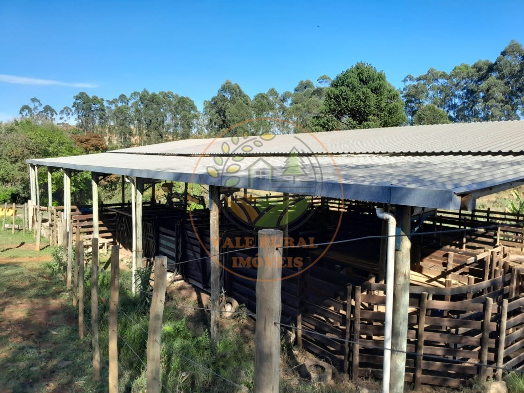Fazenda, 3 quartos - Foto 20