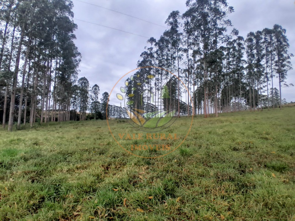 Fazenda, 3 quartos - Foto 24