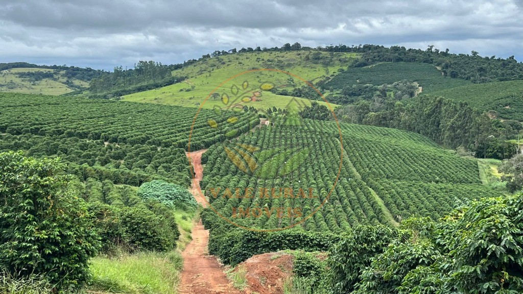 Fazenda - Foto 1