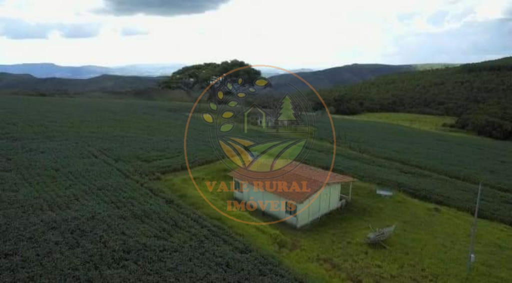 Fazenda, 6 quartos - Foto 20