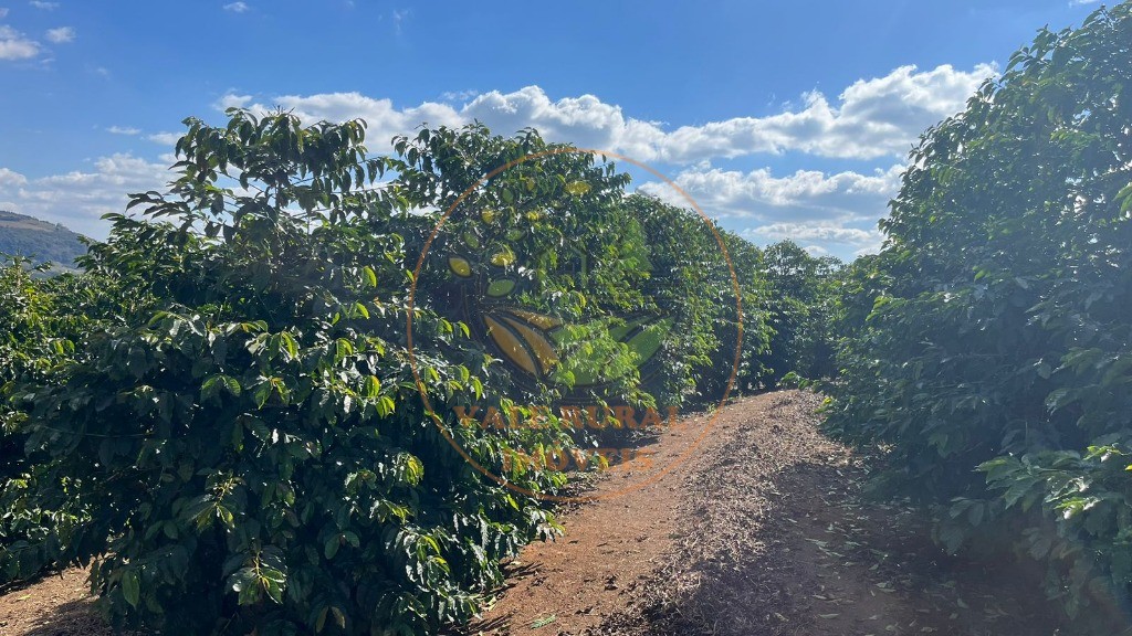 Fazenda - Foto 6