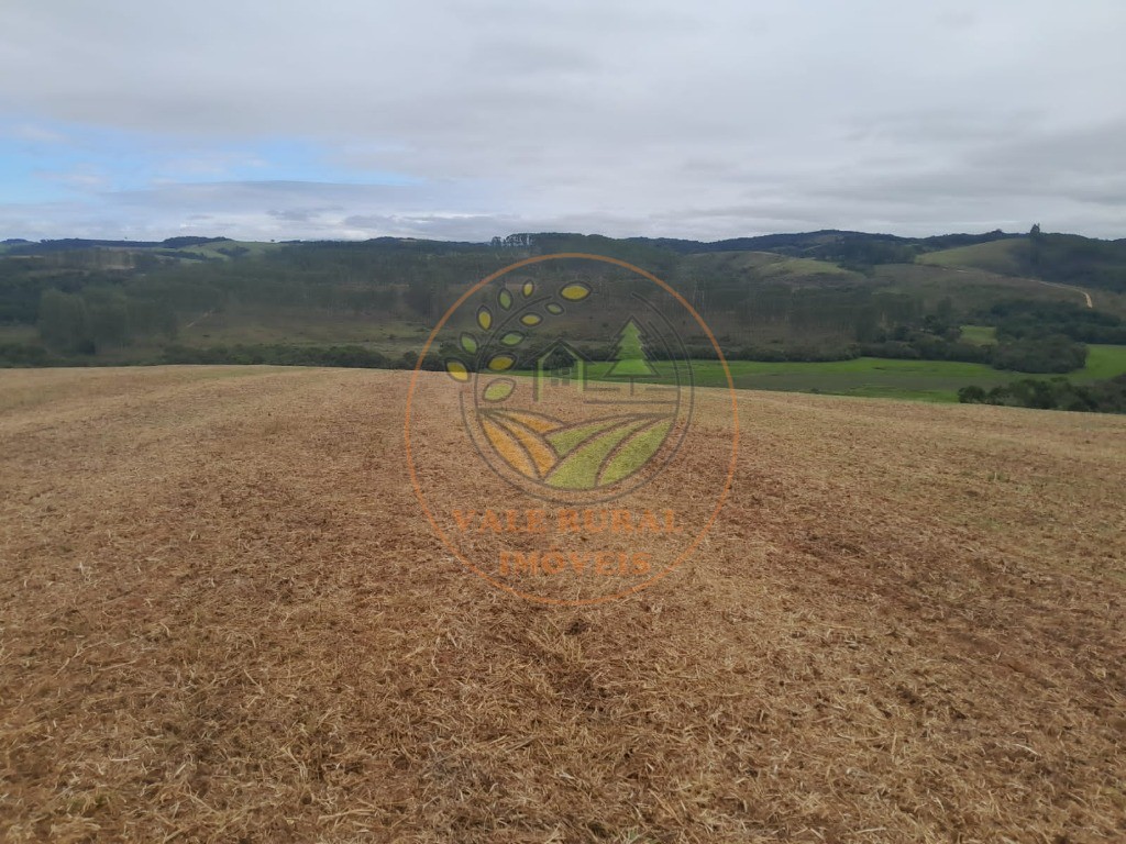 Fazenda, 3 quartos - Foto 31