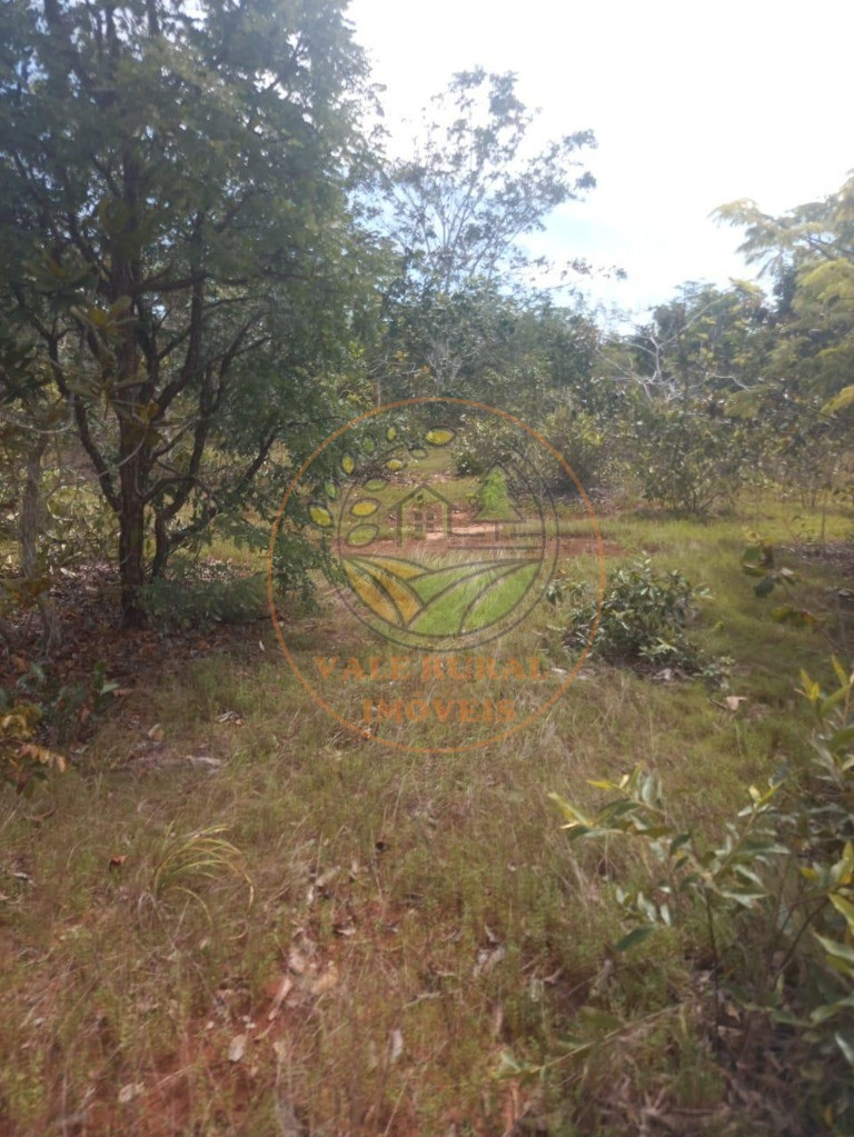 Fazenda - Foto 11