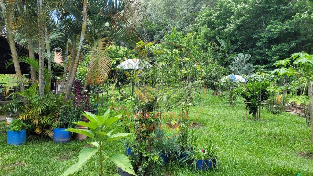 Chácara, 6 quartos - Foto 34