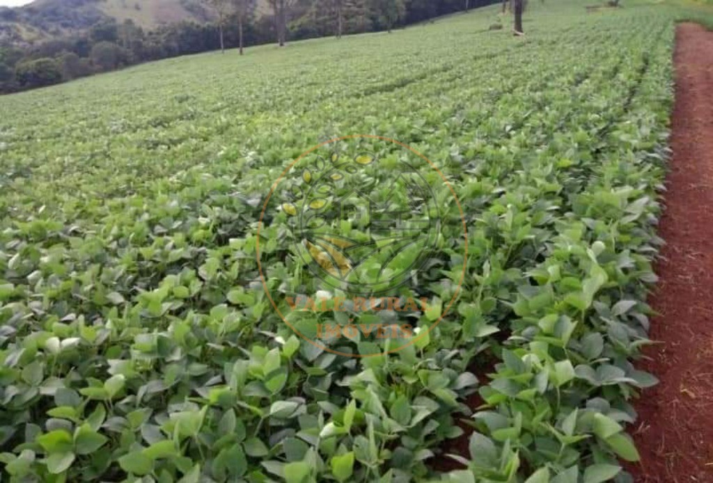 Fazenda, 6 quartos - Foto 11