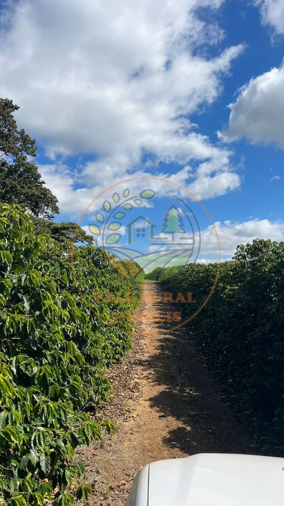 Fazenda - Foto 24