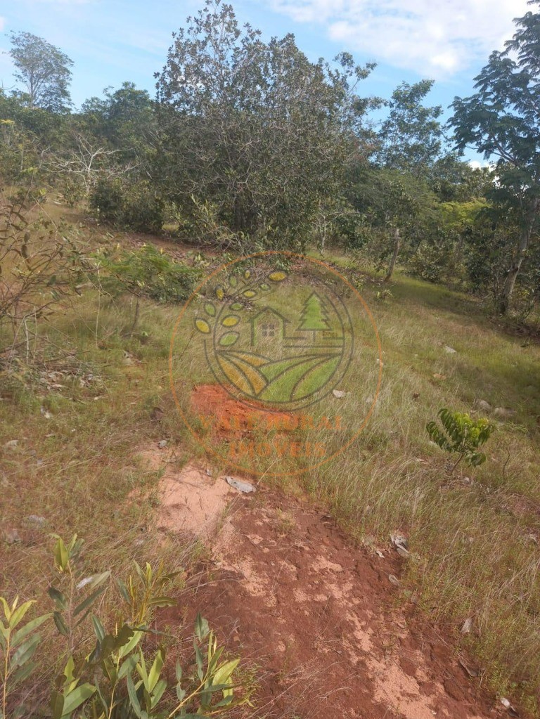 Fazenda - Foto 10