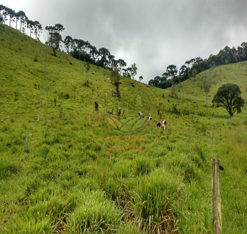 Fazenda, 317 m² - Foto 12