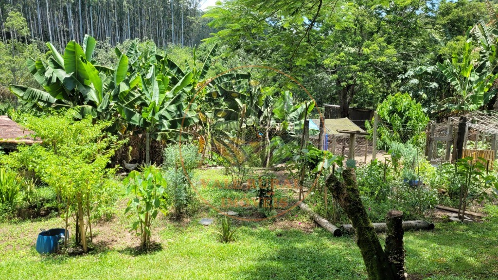 Chácara, 6 quartos - Foto 41