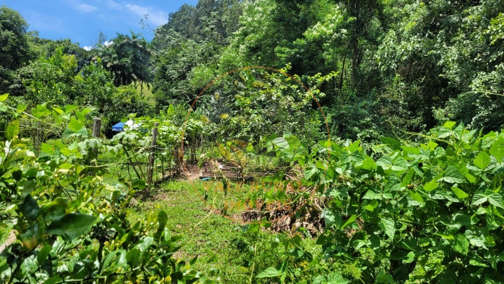 Chácara, 6 quartos - Foto 30