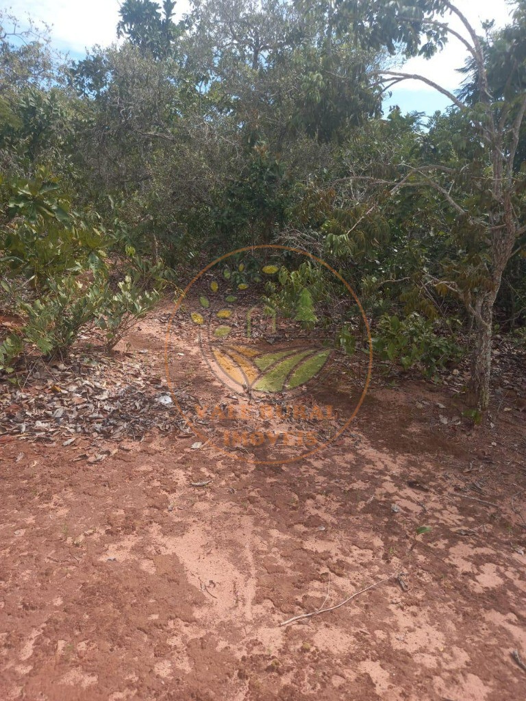 Fazenda - Foto 25