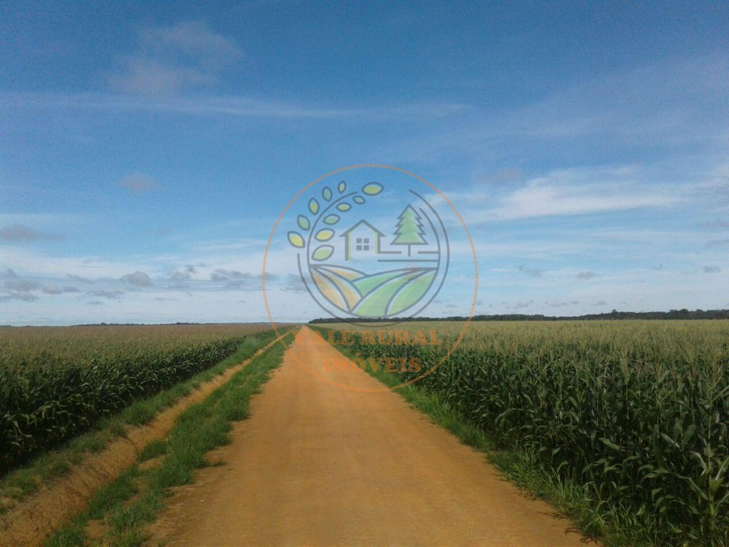 Fazenda, 3 quartos - Foto 14