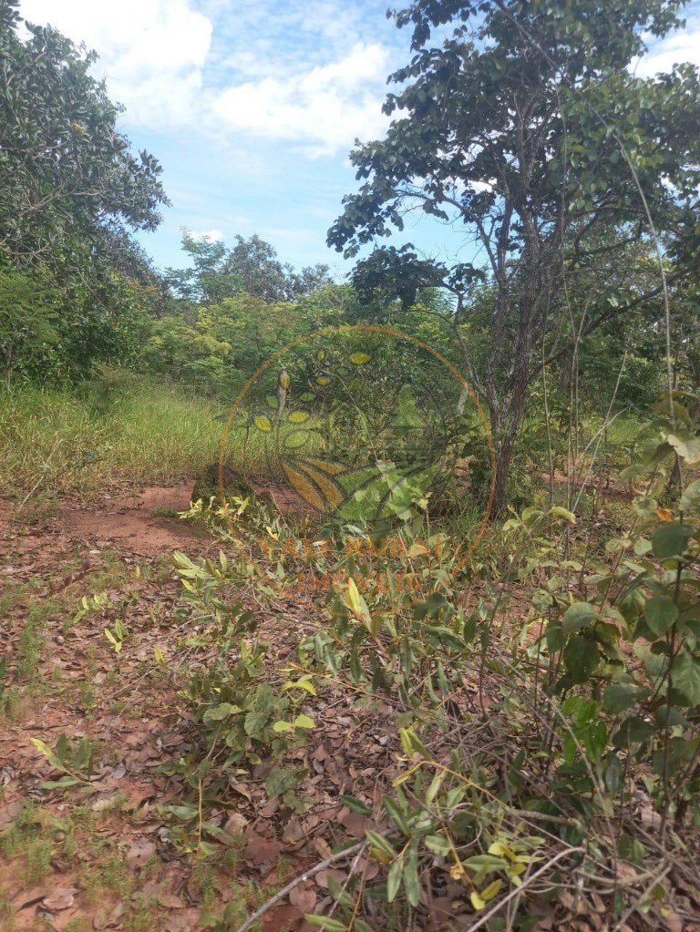 Fazenda - Foto 5