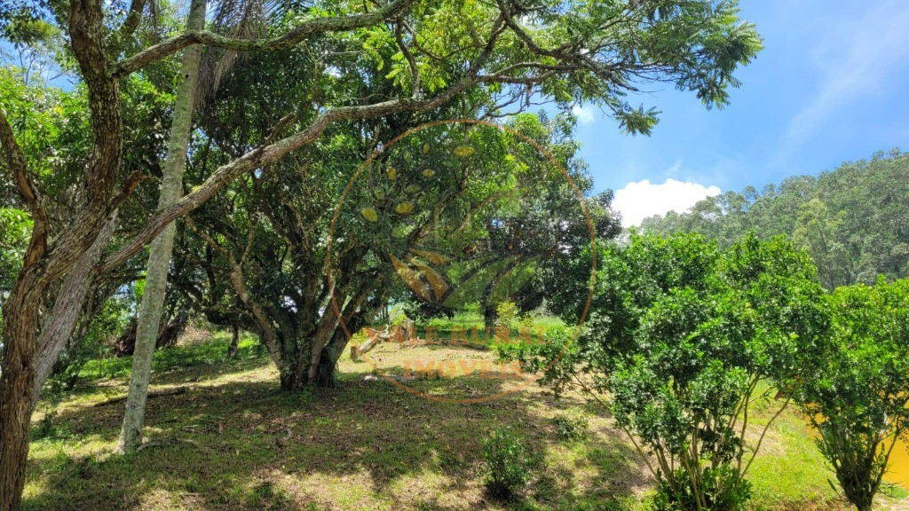 Chácara, 6 quartos - Foto 57