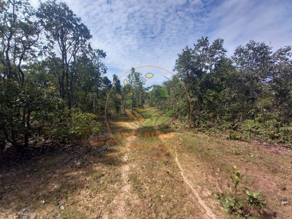 Fazenda - Foto 23