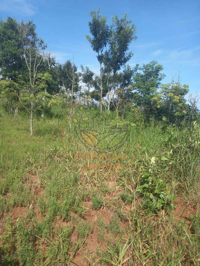 Fazenda - Foto 26