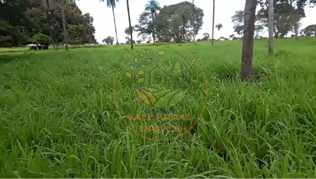 Fazenda - Foto 8