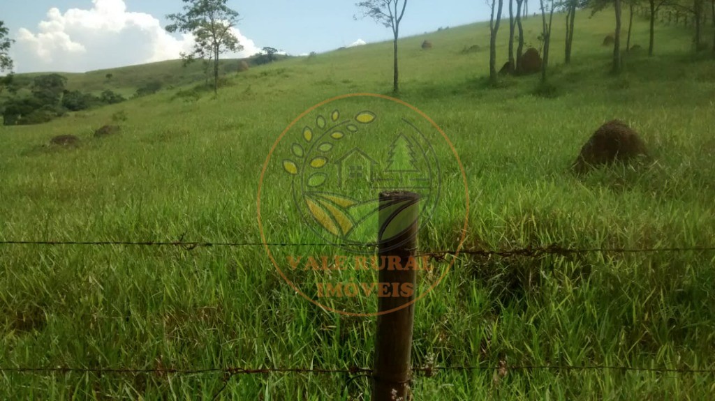 Fazenda - Foto 8
