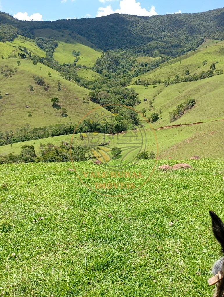 Sítio - Foto 8