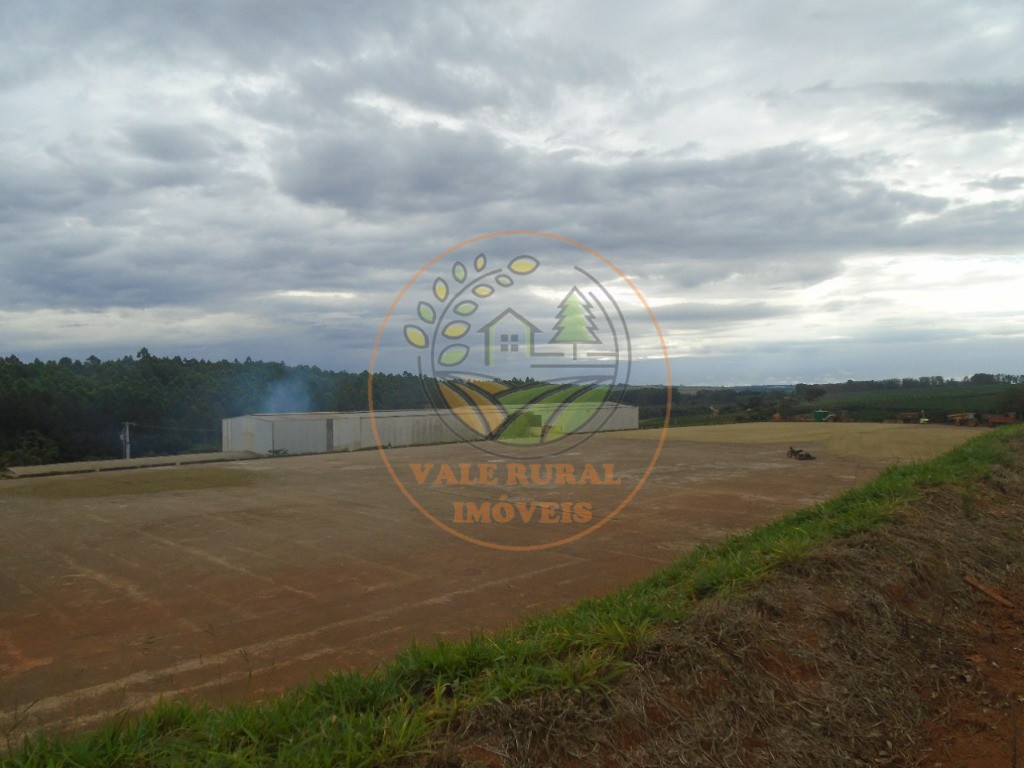 Fazenda - Foto 9