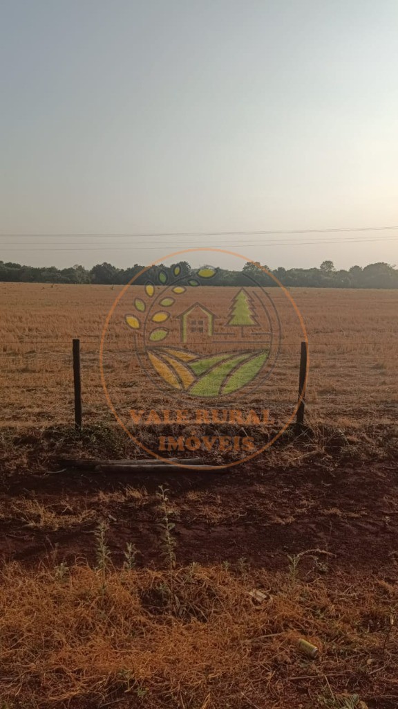 Fazenda - Foto 25