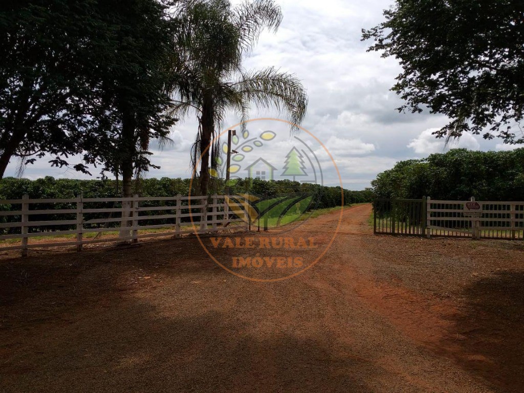 Fazenda - Foto 22