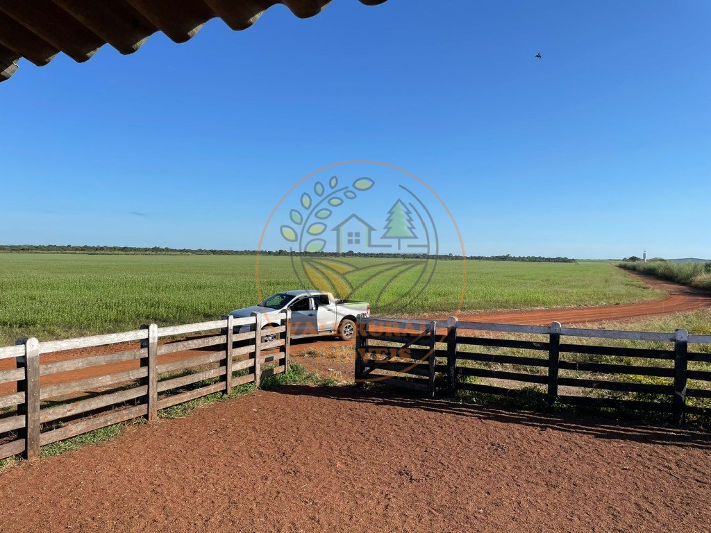 Fazenda - Foto 21
