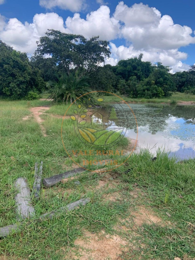 Fazenda - Foto 16