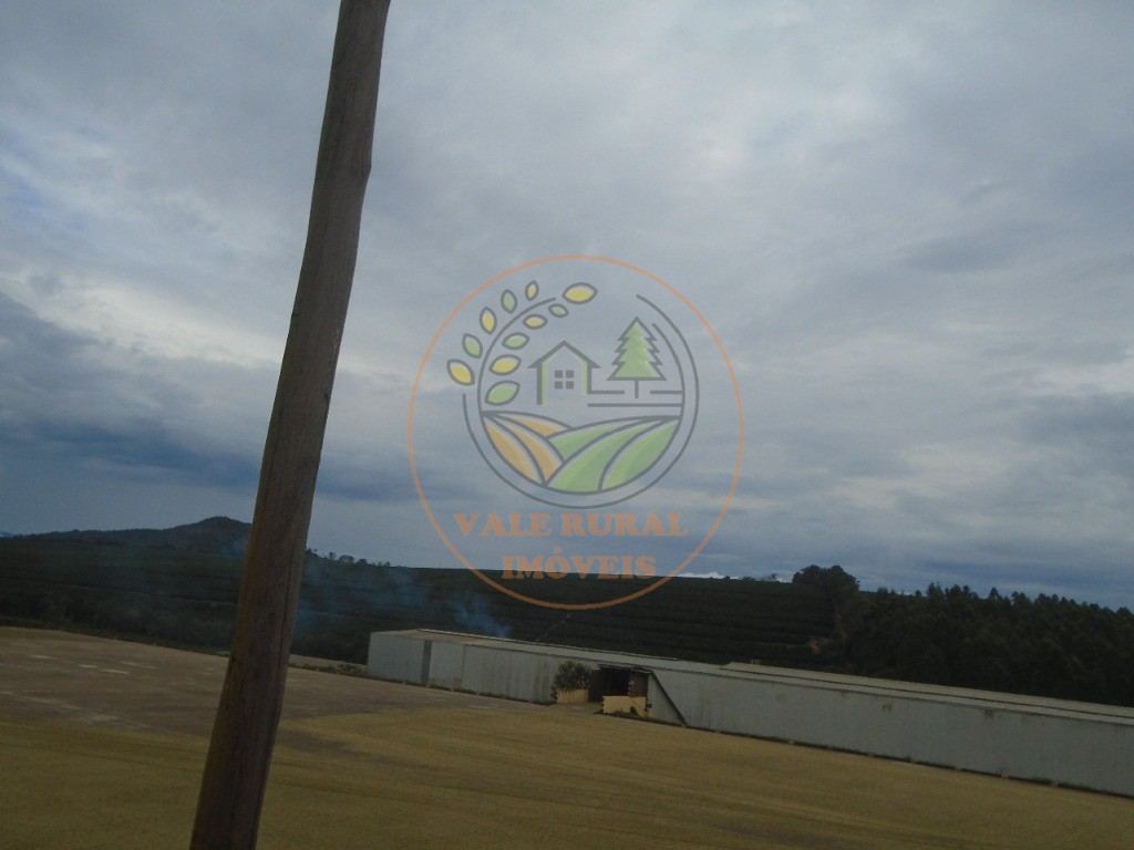 Fazenda - Foto 15