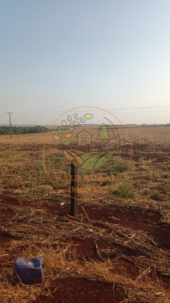 Fazenda - Foto 12