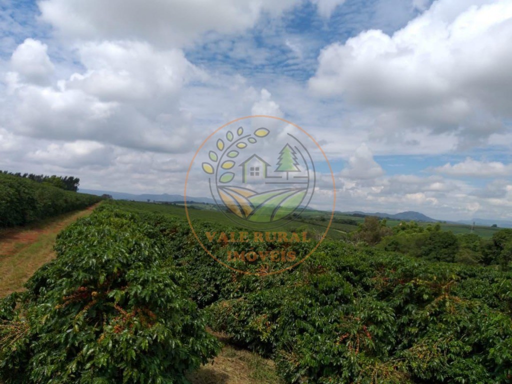 Fazenda - Foto 24