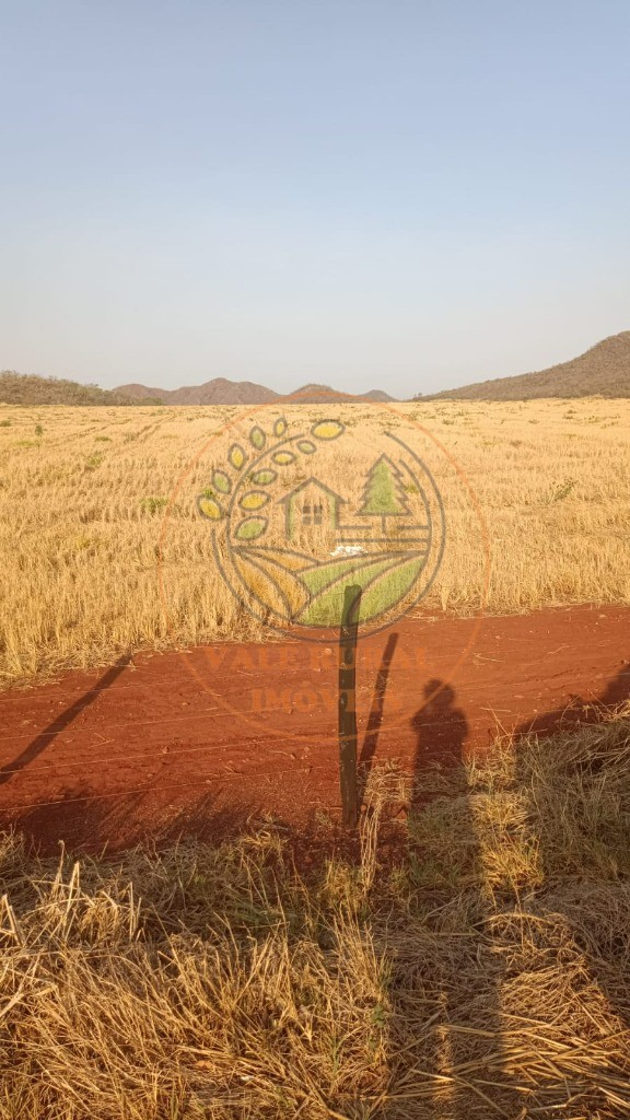 Fazenda - Foto 20