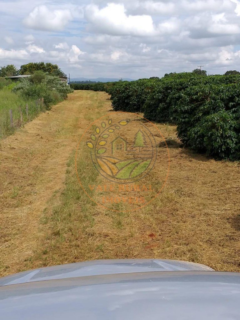 Fazenda - Foto 23