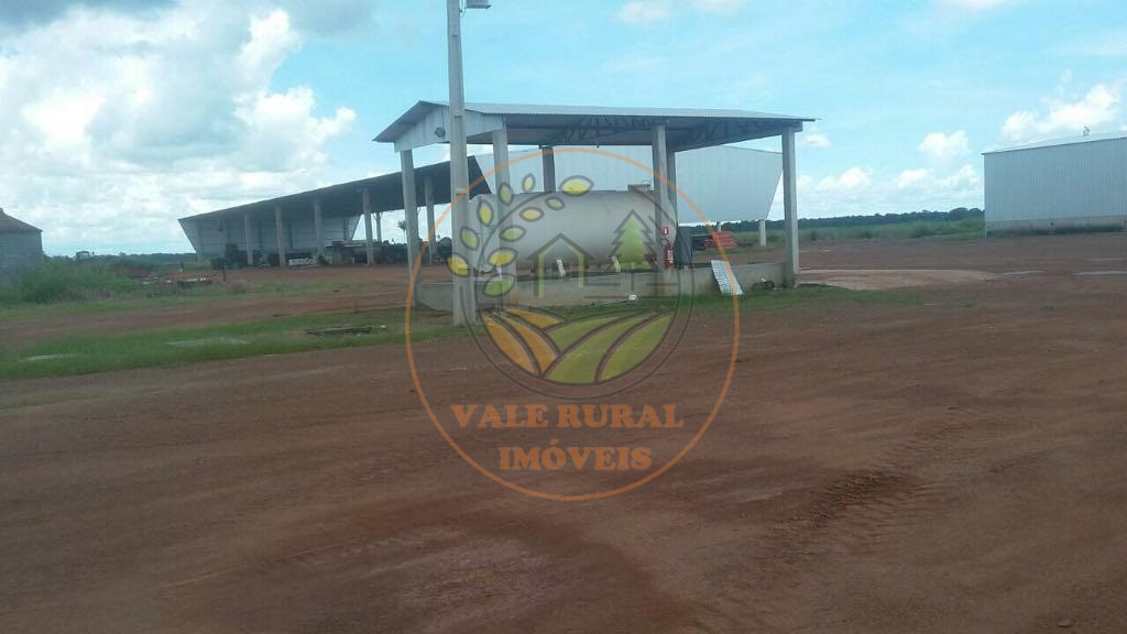 Fazenda, 5 quartos - Foto 28